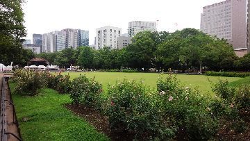 IMG_20150718_125417-1.jpg