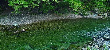 river_00045.jpg-1.jpg