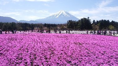 IMG_20170505_084810-1.jpg