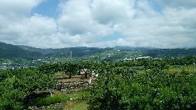 IMG_20170731_101341.jpg