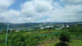 IMG_20170731_101345.jpg