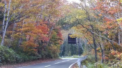 IMG_20181014_100936-1.jpg