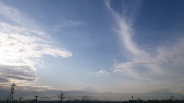 IMG_20181023_071031-1.jpg